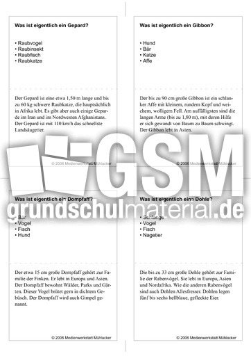 Quiz-Karten-Tiernamen 25.pdf